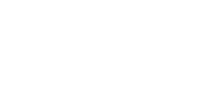 Logo McAllister